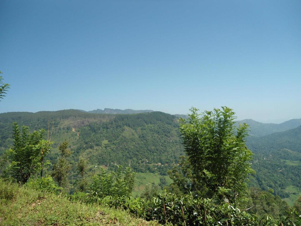 Mount River View Kandy Exteriör bild