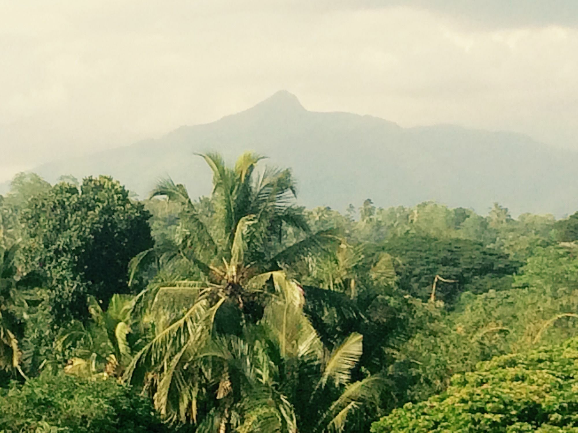 Mount River View Kandy Exteriör bild
